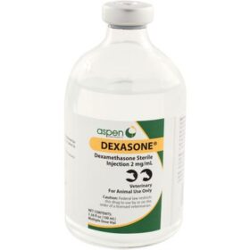 Dexamethasone 2mg Injection Dexasone