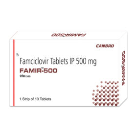 Famir 500mg Tablet Famciclovir