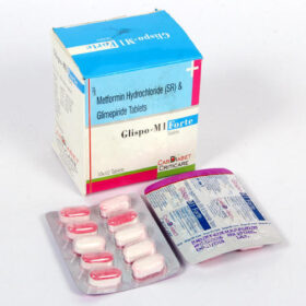 Glispo M Forte 1000mg Tablet Metformin