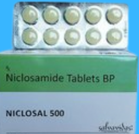 Niclosan 500mg Tablet (Niclosamide)