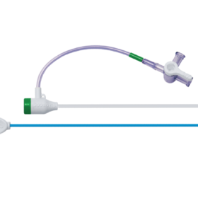 Introducer and radial sheath