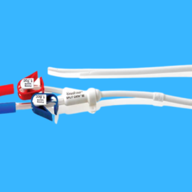Long term dialysis catheter