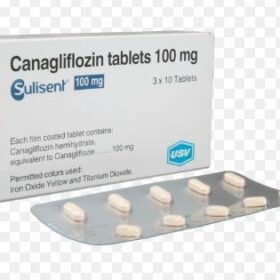 Canagliflozin 100mg Sulisent Tablet